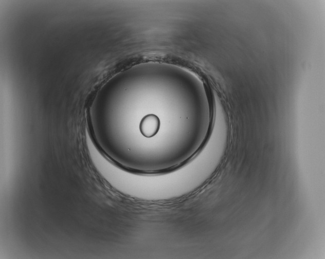 X0000112931445200908311308