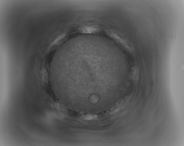 X0000112931446200908311308