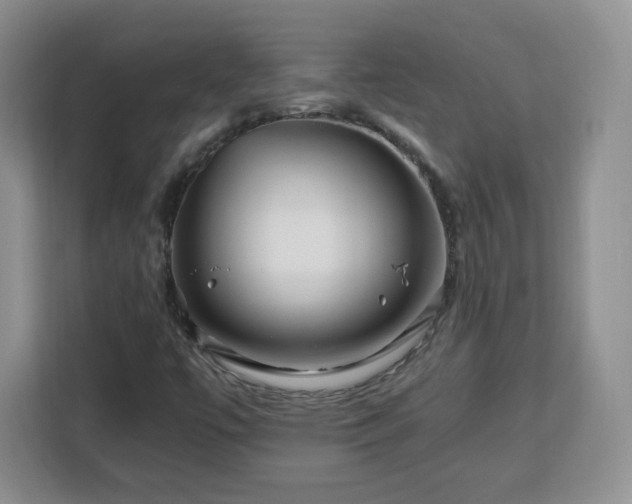 X0000112931447200908311308