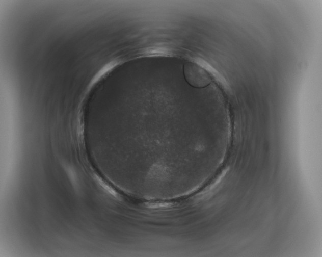 X0000112931450200908311308