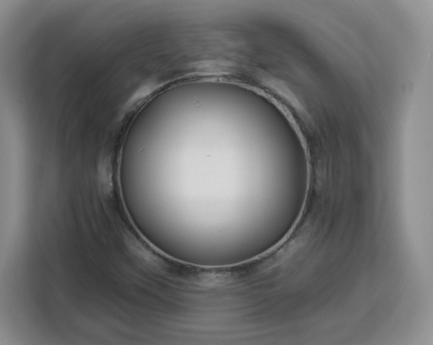 X0000112931451200908311308