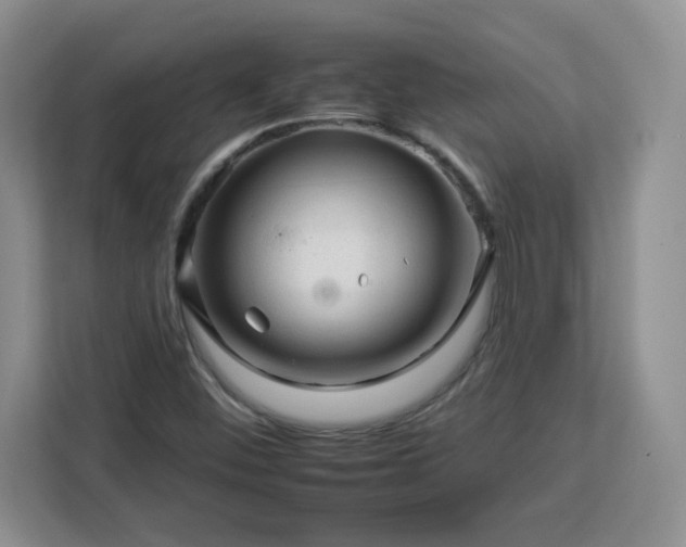 X0000112931452200908311308