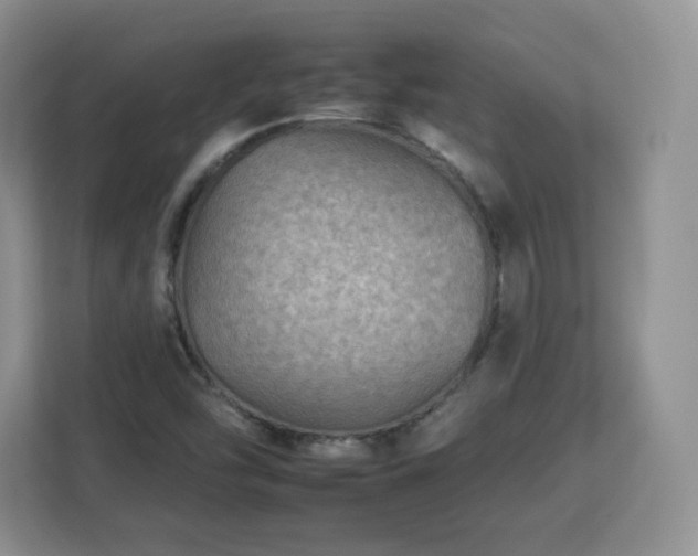 X0000112931454200908311308