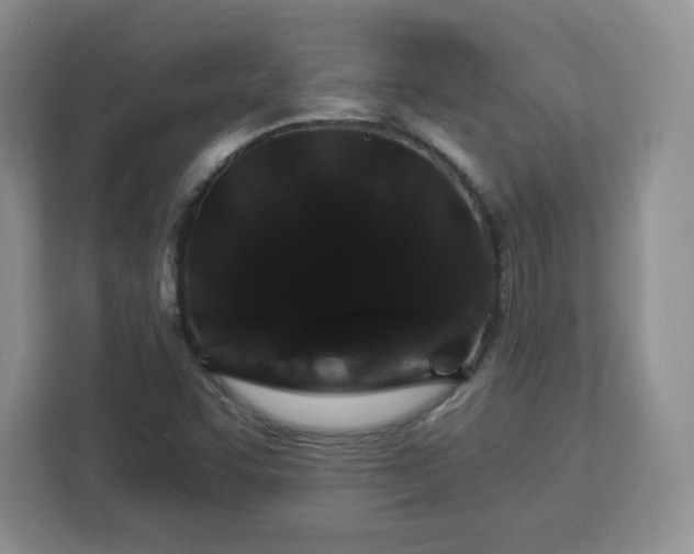 X0000112931455200908311307