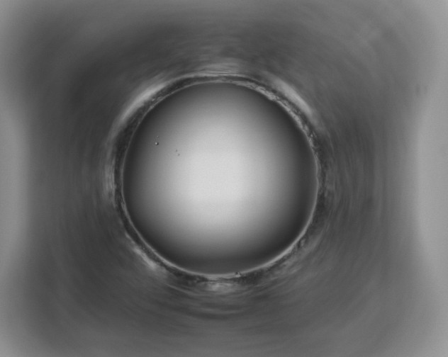 X0000112931456200908311307