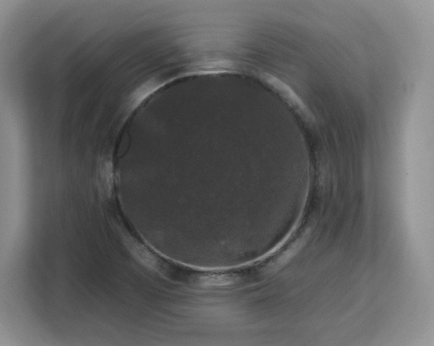 X0000112931457200908311307