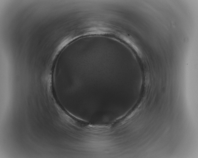 X0000112931459200908311307