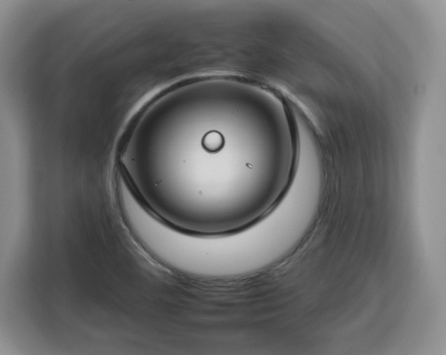 X0000112931460200908311307