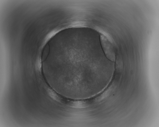 X0000112931461200908311307