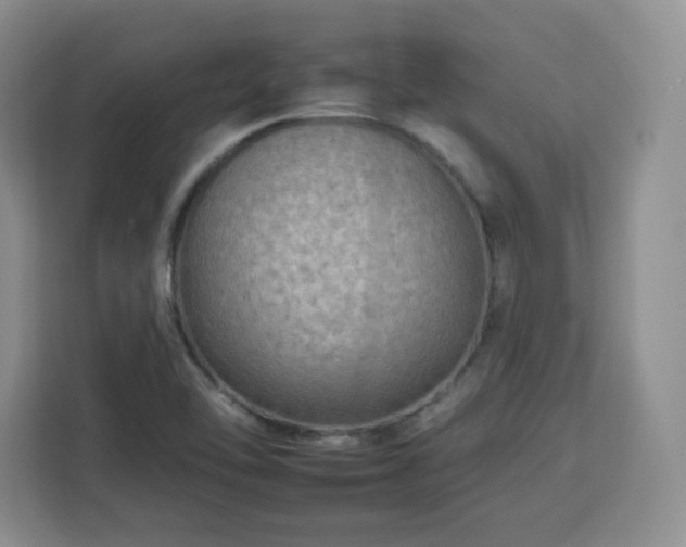 X0000112931462200908311307