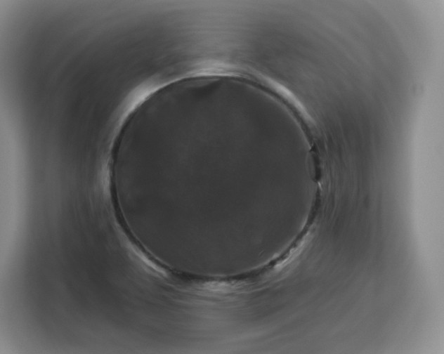 X0000112931463200908311307