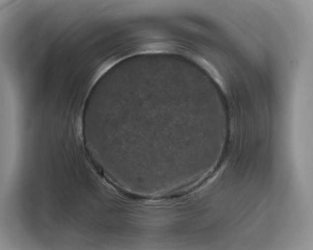 X0000112931465200908311307