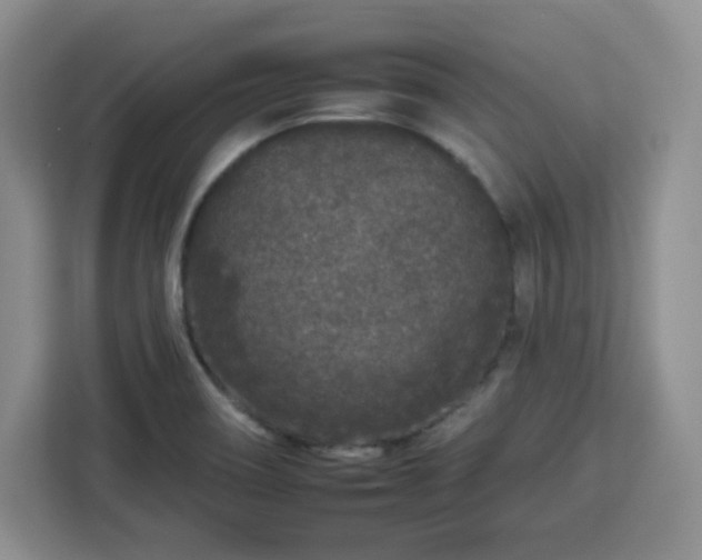 X0000112931466200908311307