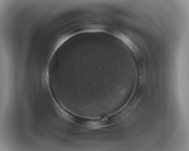 X0000112931468200908311307