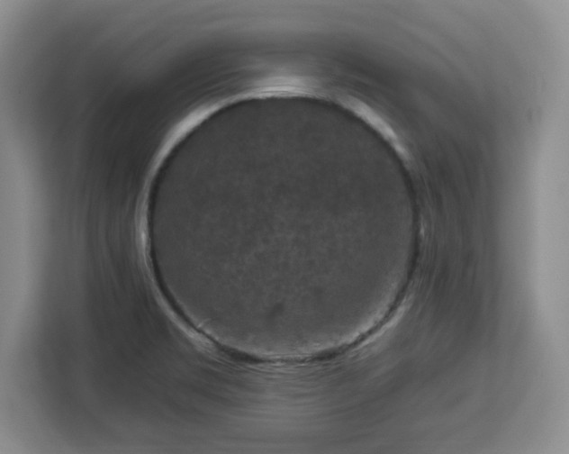 X0000112931469200908311307