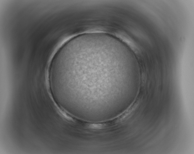 X0000112931470200908311307