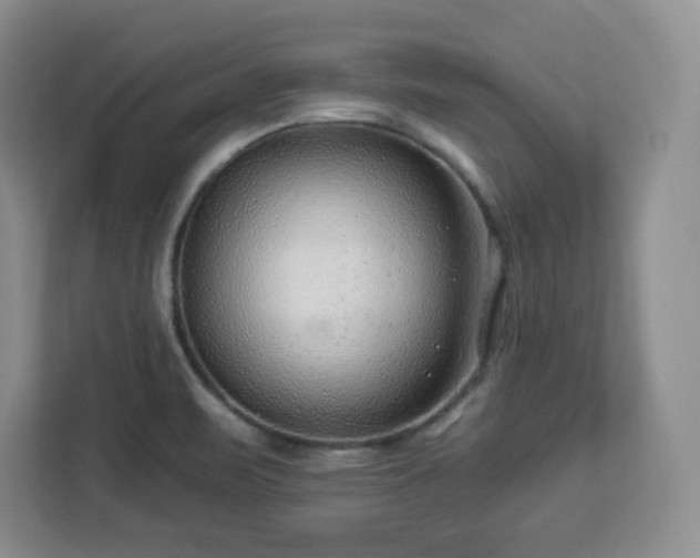 X0000112931471200908311307