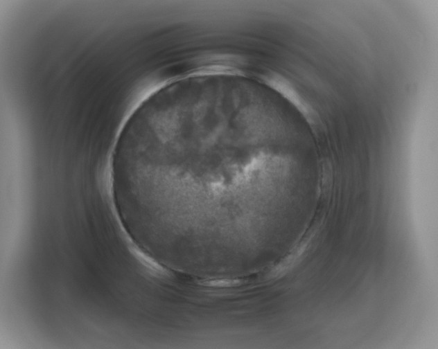 X0000112931474200908311307