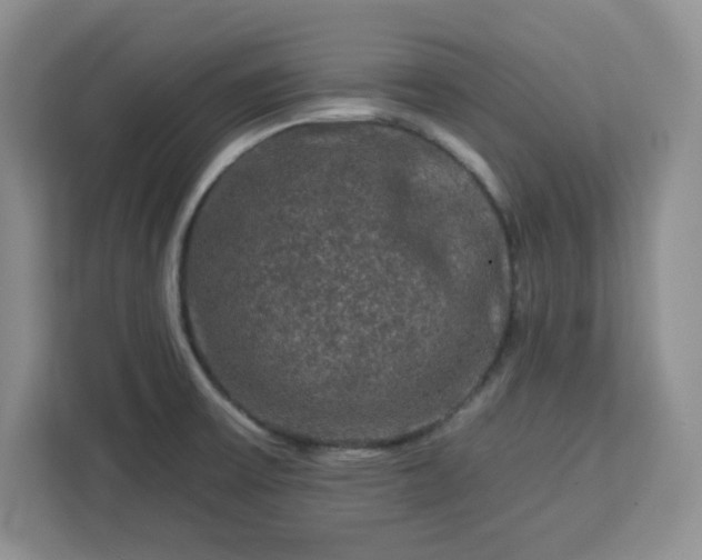 X0000112931475200908311307