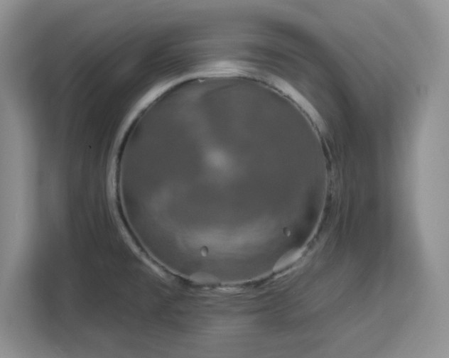 X0000112931477200908311307