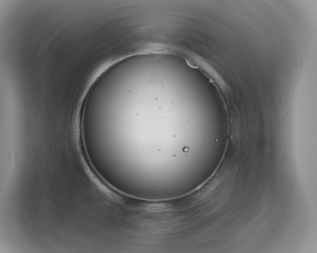 X0000112931479200908311307