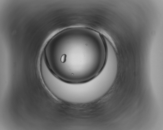 X0000112931480200908311307