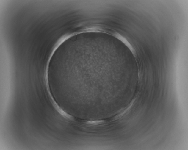 X0000112931482200908311307