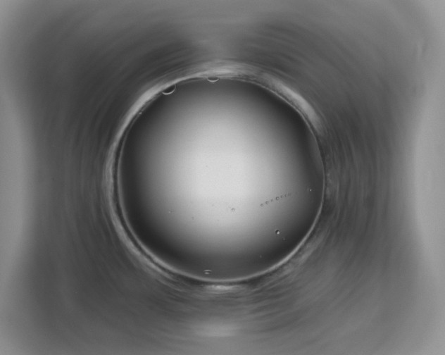 X0000112931483200908311307