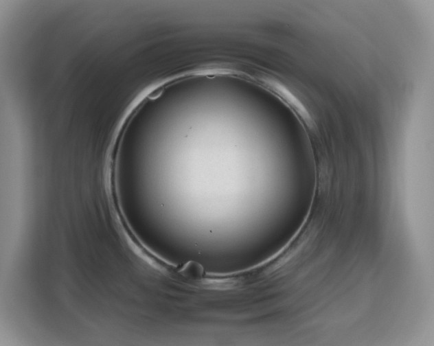 X0000112931484200908311307