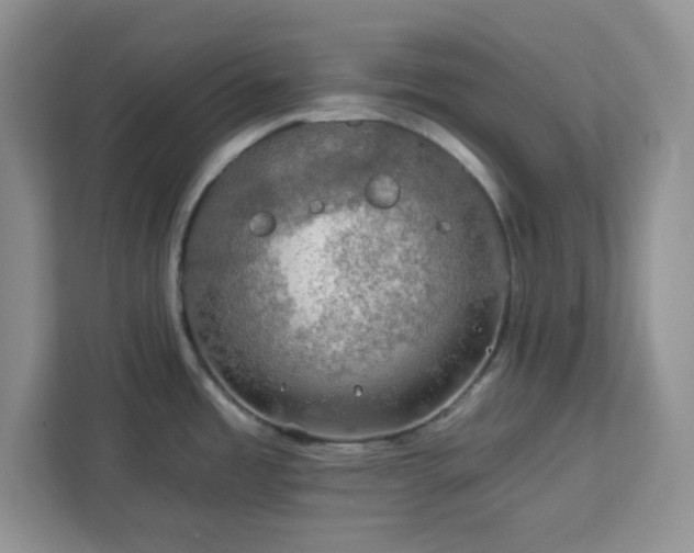 X0000112931485200908311307