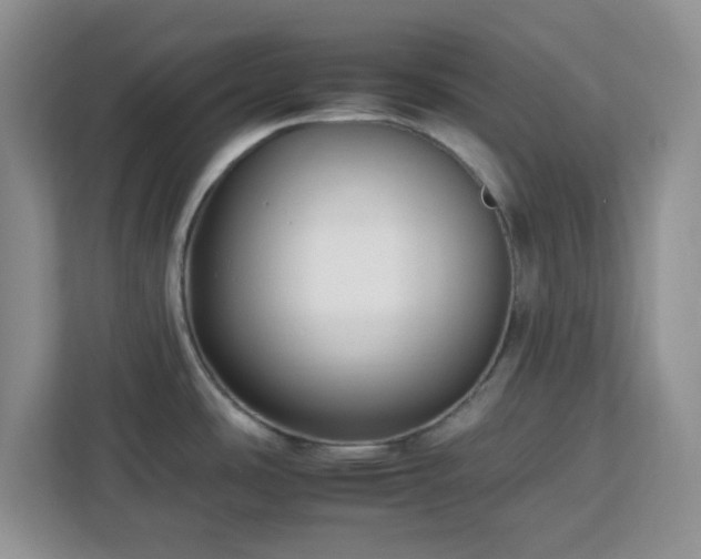 X0000112931486200908311307