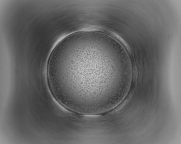 X0000112931487200908311307