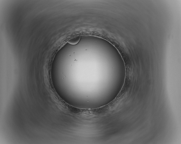 X0000112931489200908311306