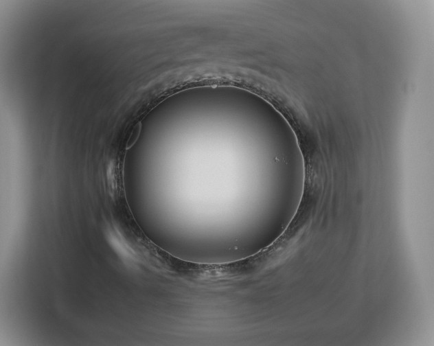 X0000112931490200908311306