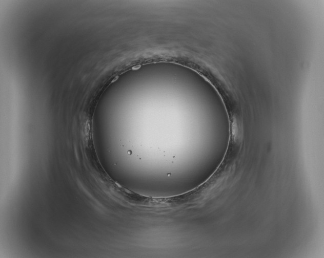 X0000112931492200908311306