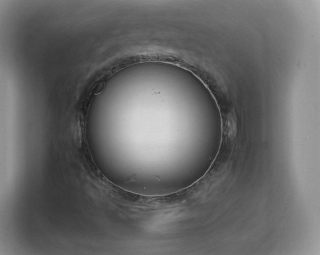 X0000112931493200908311306