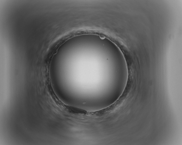 X0000112931494200908311307