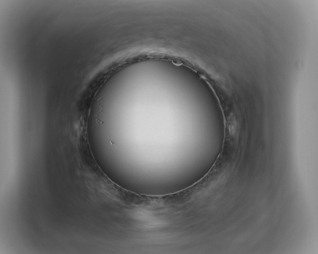 X0000112931495200908311307