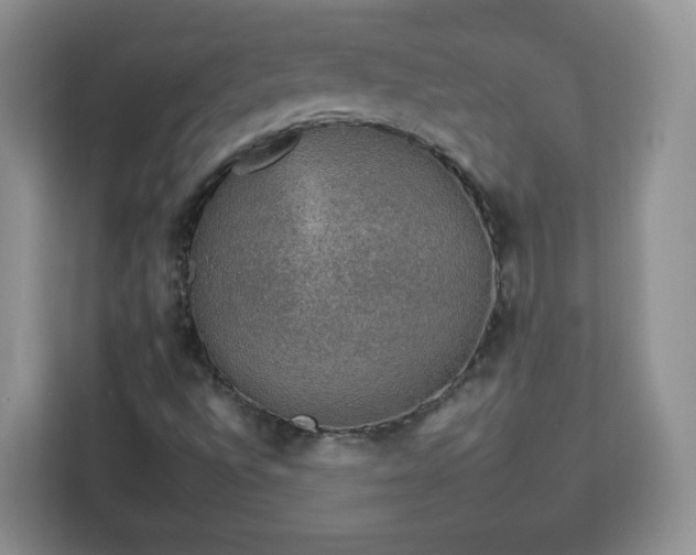 X0000112931496200908311307