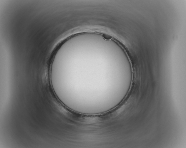 X0000112931498200908311307