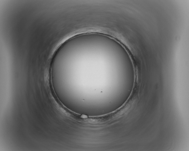 X0000112931500200908311307