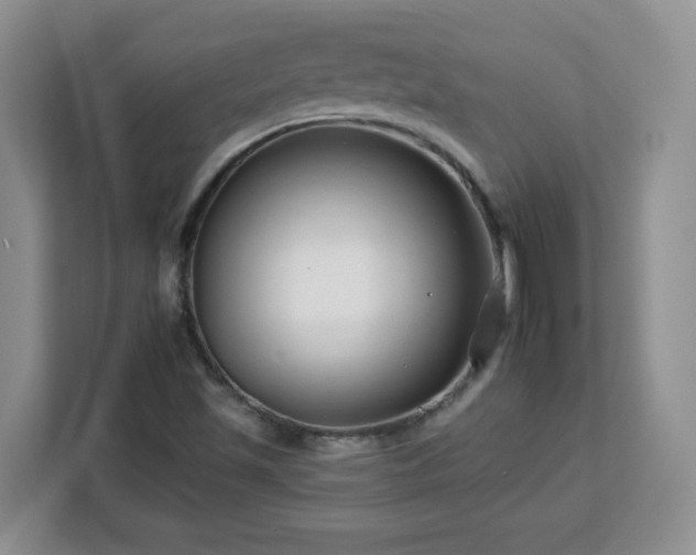 X0000112931501200908311307