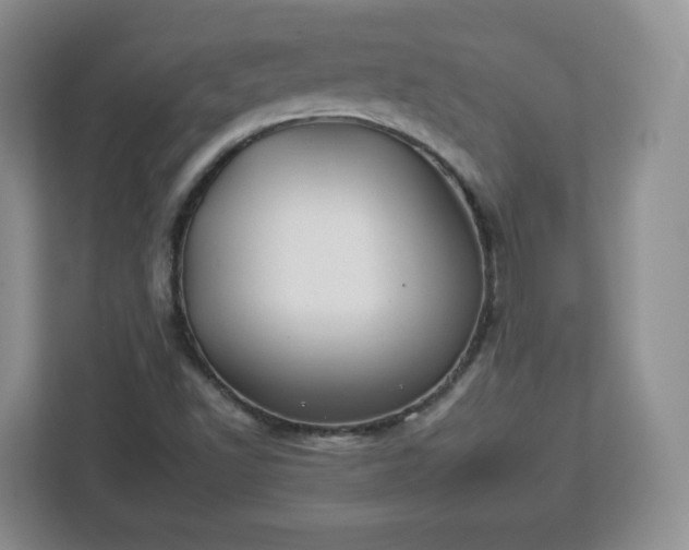 X0000112931502200908311307