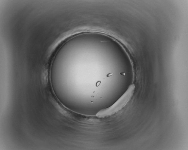 X0000112931503200908311307