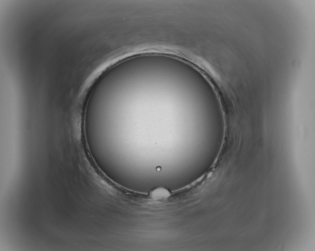 X0000112931504200908311307