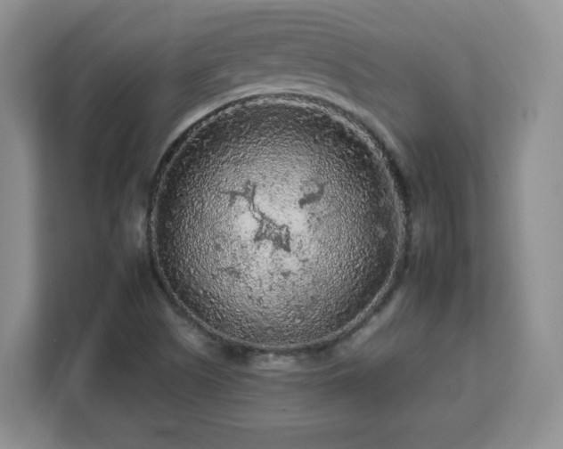 X0000112931505200908311307