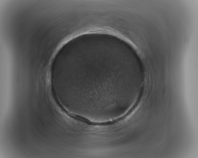 X0000112931506200908311307