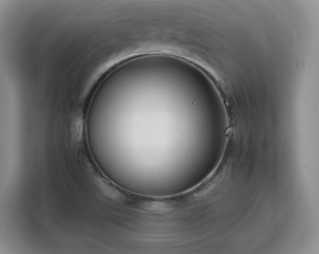 X0000112931507200908311307