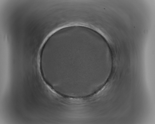 X0000112931508200908311307