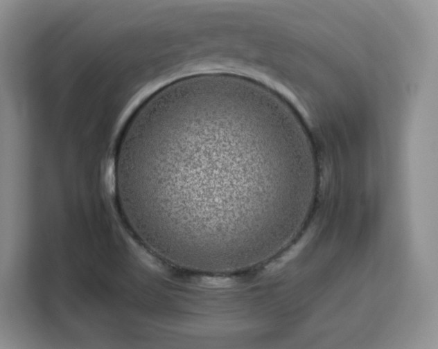 X0000112931509200908311307